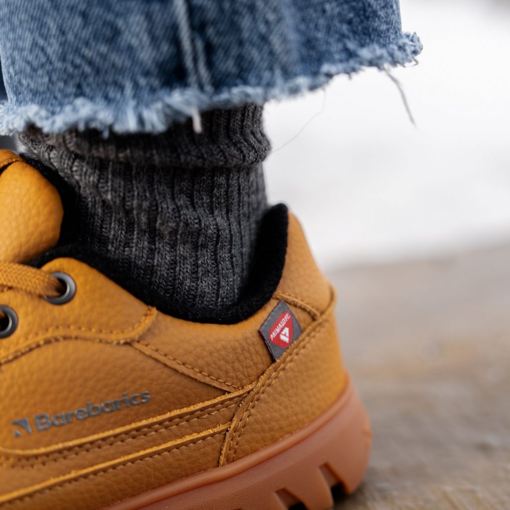 Transición del invierno a la primavera